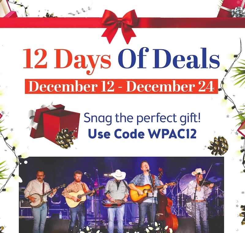image flier for 12 days of deals